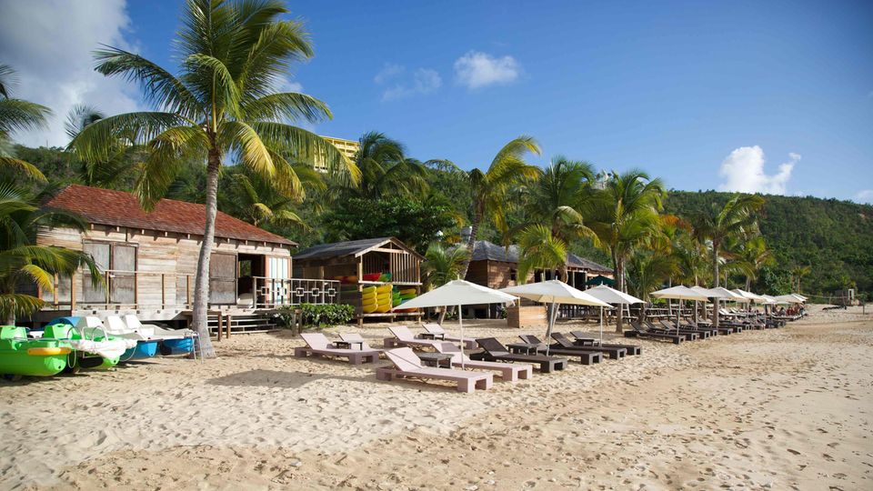 Sonnenliegen unter Palmen an einem Karibik-Strand