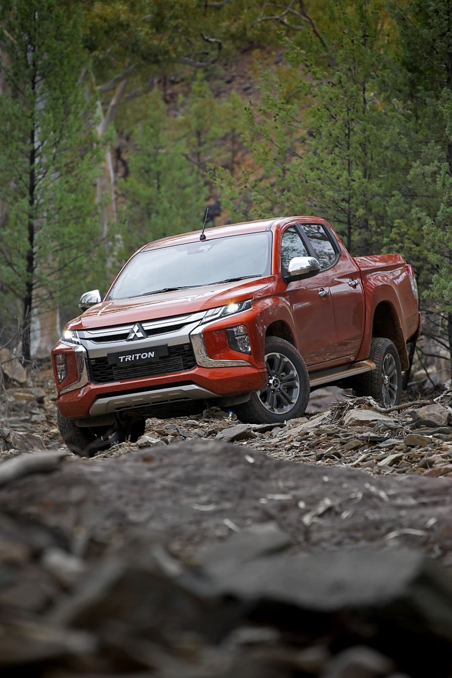 Mitsubishi L200 2019 über Stock und Stein