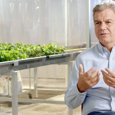 Mark Korzilius hat Erfahrung damit, eine Idee von Hamburg aus groß zu machen. 2002 eröffnete er in der Stadt die erste Filiale der Restaurantkette "Vapiano", in der es Pizza, Pasta und Antipasti direkt vom Küchentresen gibt. Heute existieren rund 200 "Vapianos" in 33 Ländern