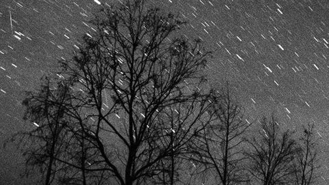 Nachtaufnahme mit Langzeitbelichtung zeigt einen Leoniden-Sternschnuppenstrom über der Azrakwüste in Jordanien