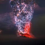 Gewinner Kategorie "Nature"