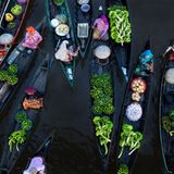 Gewinner Kategorie "Splash of Colors"