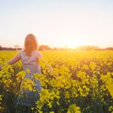 iShares Dow Jones Global Sustainability Screened (IE 00B 57X 3V8 4)