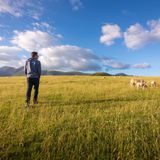 UBS MSCI World Socially Responsible (Isin LU 062 945 974 3)