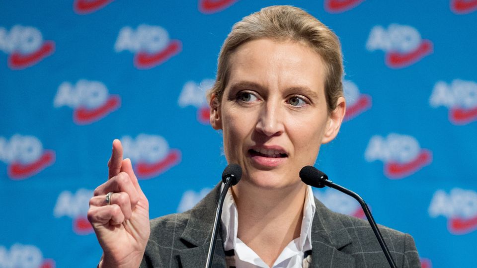 Alice Weidel - AfD - Spende - Schweiz - Wahlkampf - Medienanwalt