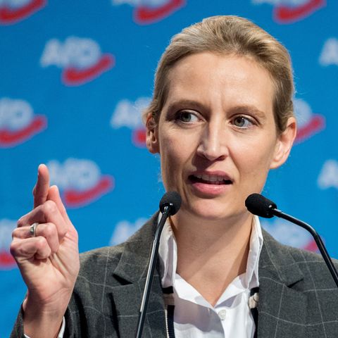 Alice Weidel - AfD - Spende - Schweiz - Wahlkampf - Medienanwalt