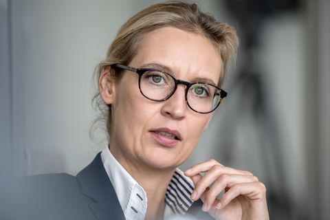 Alice Weidel, AfD Bundesvorstandsmitglied