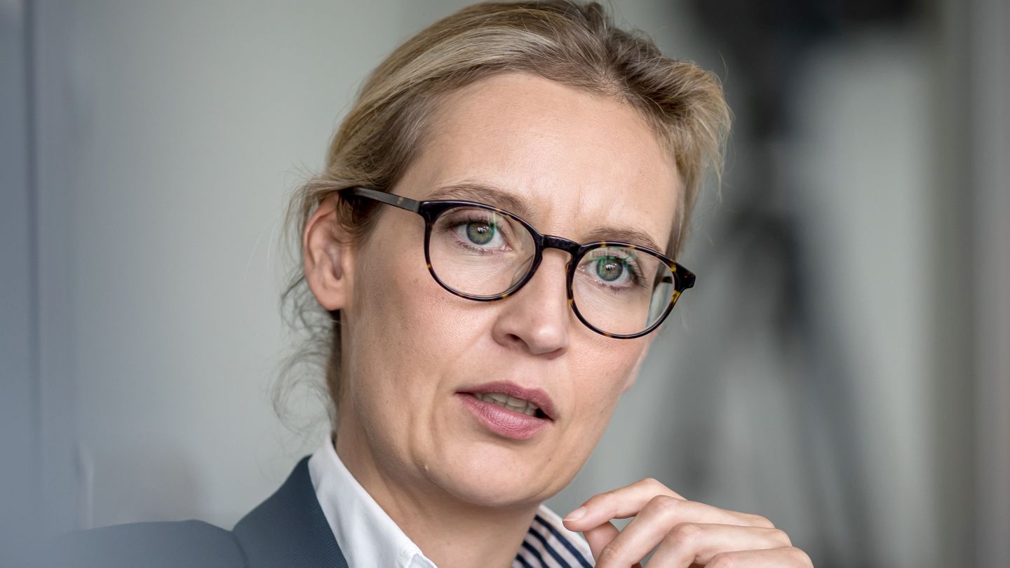 Alice Weidel, AfD Bundesvorstandsmitglied