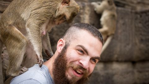 Ein Tourist spielt in Thailand mit einem Affen