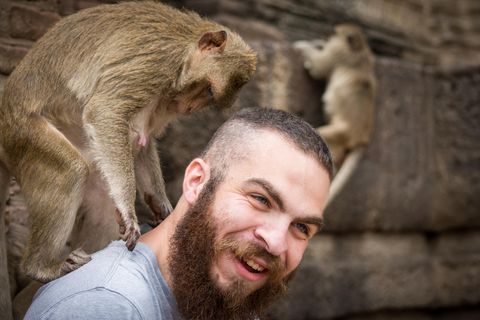 Ein Tourist spielt in Thailand mit einem Affen