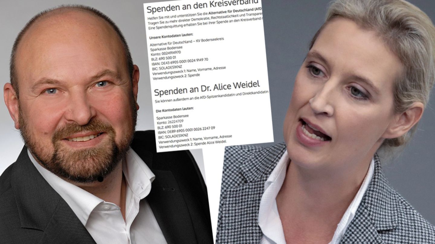 Baden-Württembergs AfD-Schatzmeister Frank Kral, Fraktionschefin Alice Weidel