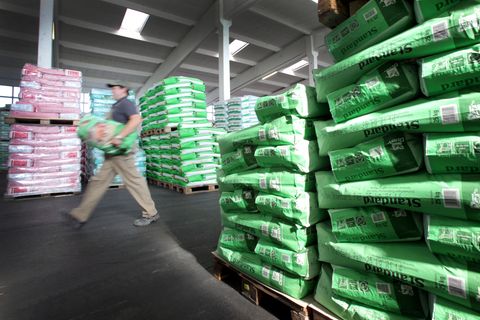 Zahlreiche Höfe in Deutschland wegen verunreinigtem Geflügelfutter gesperrt