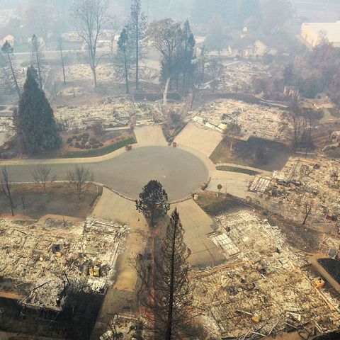 Paradise, Kalifornien - die verstörende Ordnung der Zerstörung