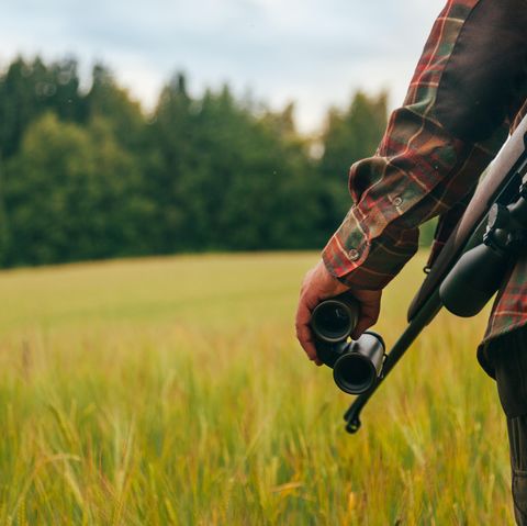 Ein Jäger auf einem Feld