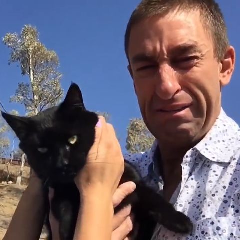 Youtuber verliert alles in den Waldbränden von Kalifornien – doch dann taucht seine Katze auf
