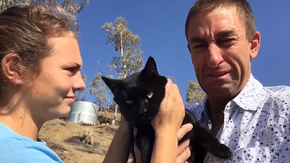 Youtuber verliert alles in den Waldbränden von Kalifornien – doch dann taucht seine Katze auf
