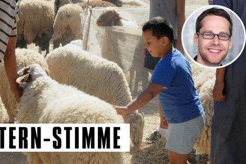 Schaf auf Markt in Tunis
