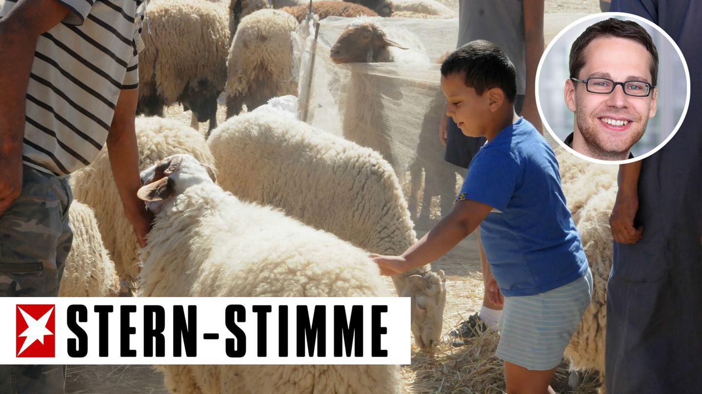 Schaf auf Markt in Tunis