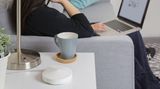 TP-Link Deco P7  Runde weiße Sache: Das Deco-P7-System übermittelt Daten sowohl über Funk als auch über die Stromleitung. Der Weg durch die Steckdose steigert den Datendurchsatz, wenn zum Beispiel massive Stahlbetonwände die Funkwellen abblocken. Eltern, die nur einen einfachen Router daheim stehen haben, eröffnet der Deco interessante Möglichkeiten wie die zeitgesteuerte WLAN-Abschaltung oder das Blocken ausgewählter Webseiten. Gesteuert wird das System über eine eigene App des Herstellers.
