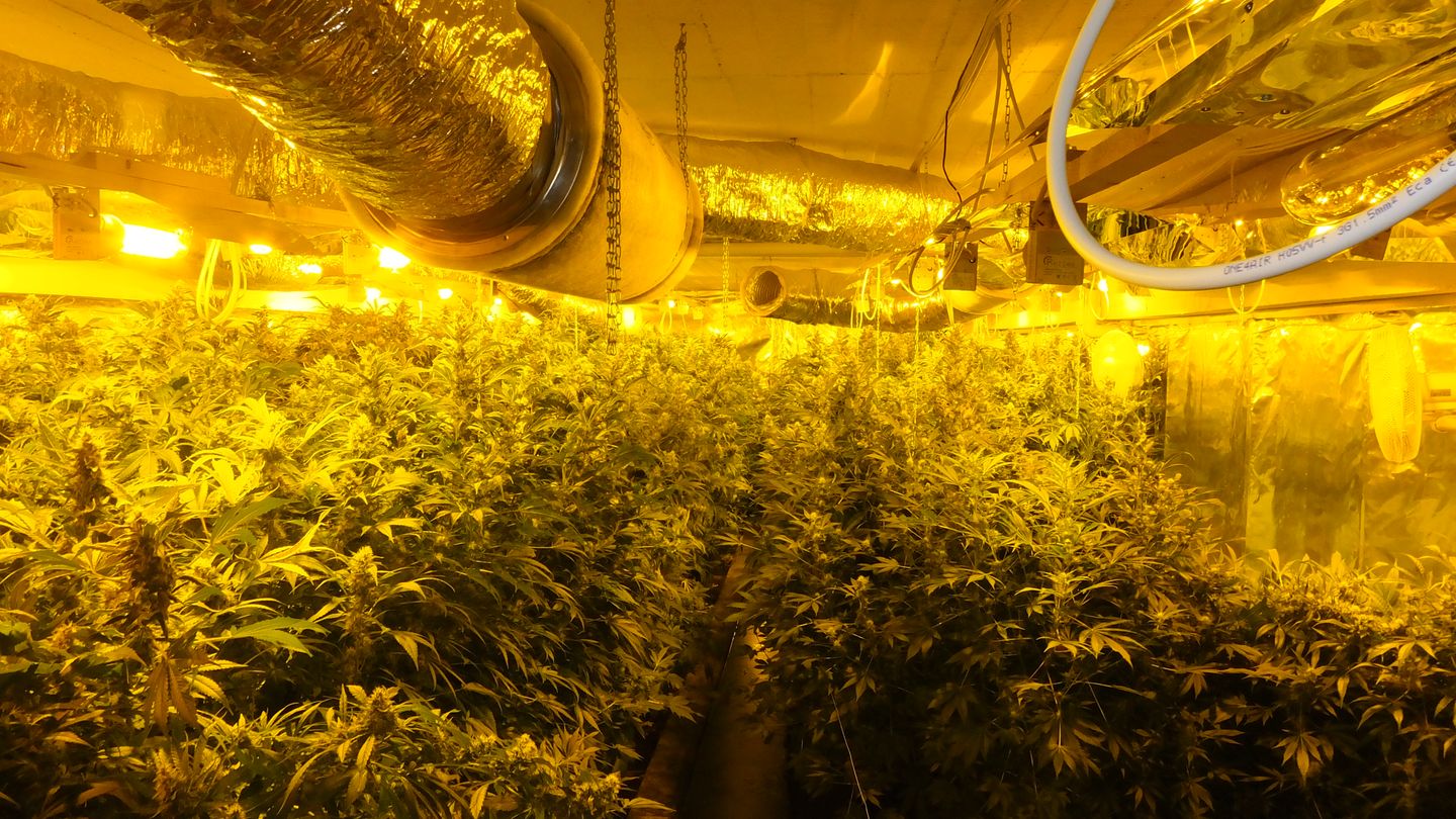 Marihuana-Plantage in Tiefgarage