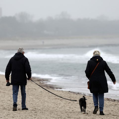wetter in deutschland - freitag 23.11.2018
