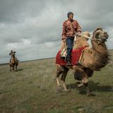 Kamelhirten in Kalmückien