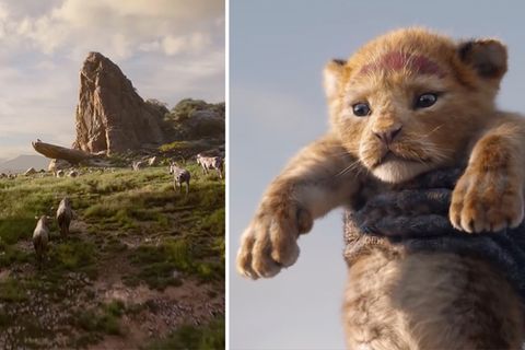 Erster Trailer: "König der Löwen" – So sieht die Neuverfilmung des Klassikers aus
