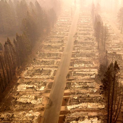 In der Kleinstadt Paradise in Kalifornien wurden mehr als 13.600 Häuser zerstört - viele Bäume blieben dagegen stehen