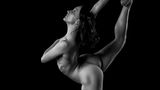 Foto-Projekt "Athletic Implied Nudes"