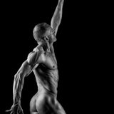 Foto-Projekt "Athletic Implied Nudes"