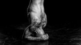 Foto-Projekt "Athletic Implied Nudes"