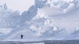 Ein Pinguin hat sich von seiner Kolonie gelöst und steht vor einem Eisberg nahe der französischen Forschungsstation Dumont d’Urville in der Ost-Antarktis
