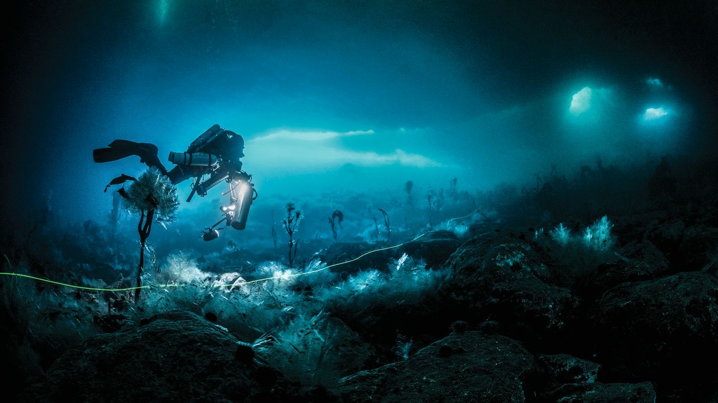 In 20 Meter Tiefe taucht Ballesta samt Crew. Eine Rettungsleine weist in der Dunkelheit unter den Eisschollen den Weg zum Einstieg