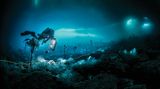 In 20 Meter Tiefe taucht Ballesta samt Crew. Eine Rettungsleine weist in der Dunkelheit unter den Eisschollen den Weg zum Einstieg