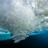 Außergewöhnliche Aufnahmen: Zu Besuch im Ewigen Eis – poetische Bilder aus der Kälte der Antarktis