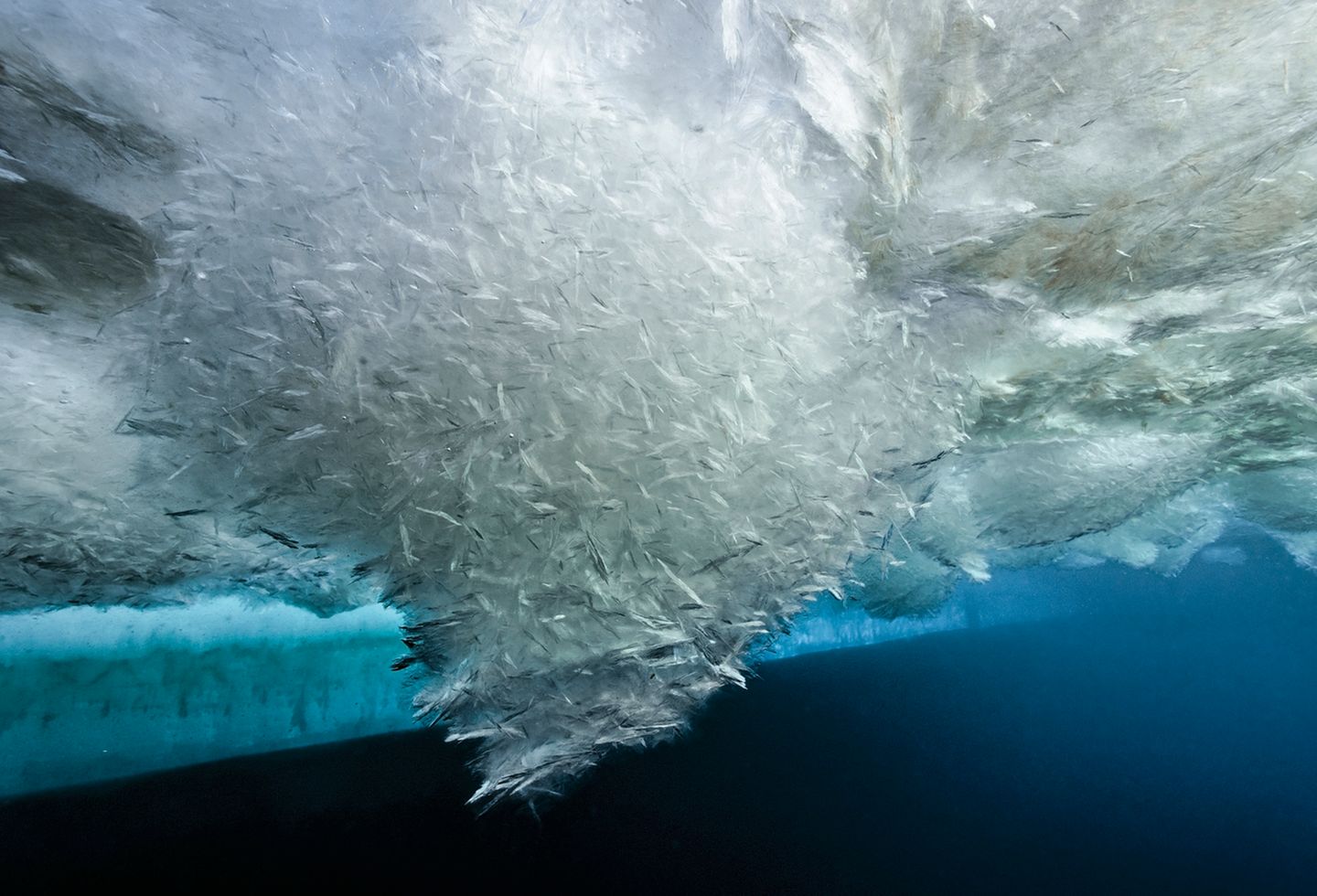 Außergewöhnliche Aufnahmen: Zu Besuch im Ewigen Eis – poetische Bilder aus der Kälte der Antarktis