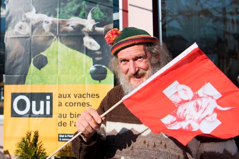 Hornkuh-Initiative in der Schweiz laut Hochrechnung abgelehnt