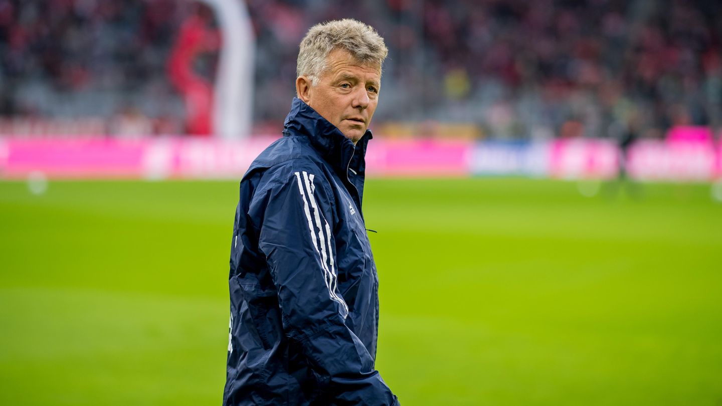 Heynckes ehemaliger Co-Trainer Peter Herrmann steht noch immer in den Diensten des FC Bayern München. Die sportliche Kompetenz spricht ihm wohl niemand ab, allerdings scheut Herrmann den Job im Rampenlicht.