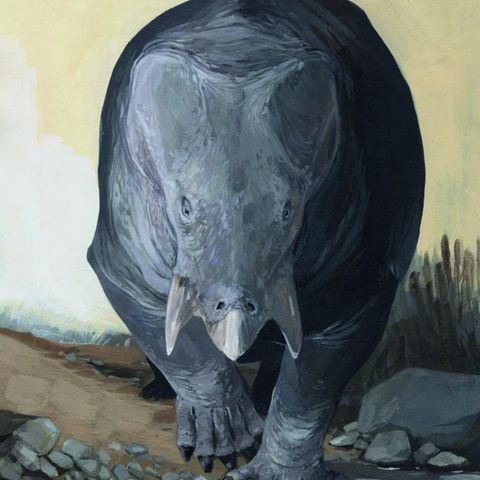 Mehr Masse bedeutet auch mehr Schutz - Lisowicia bojani war so groß wie ein Elefant.