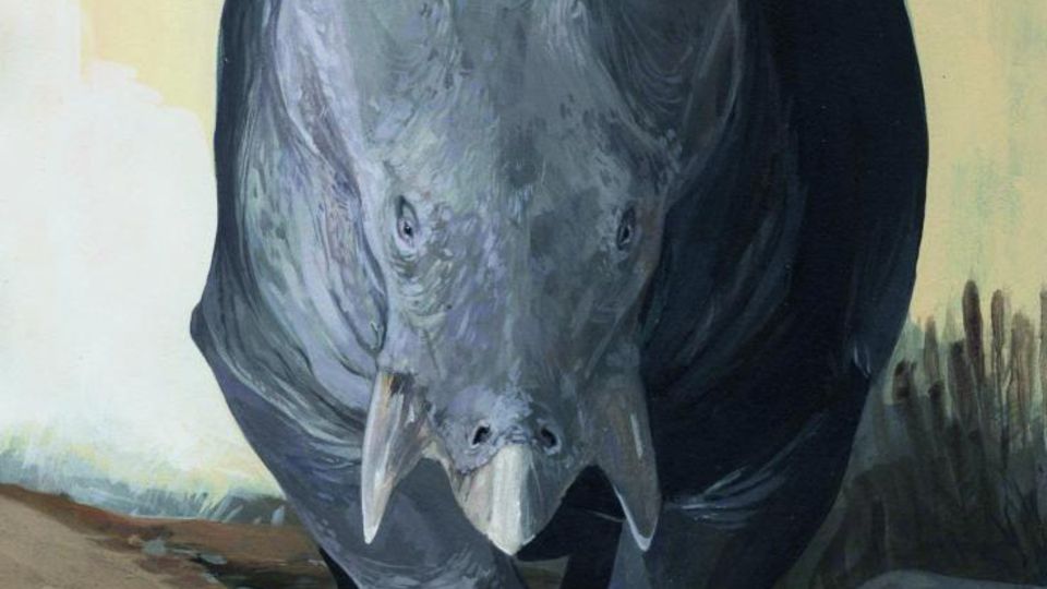 Mehr Masse bedeutet auch mehr Schutz - Lisowicia bojani war so groß wie ein Elefant.