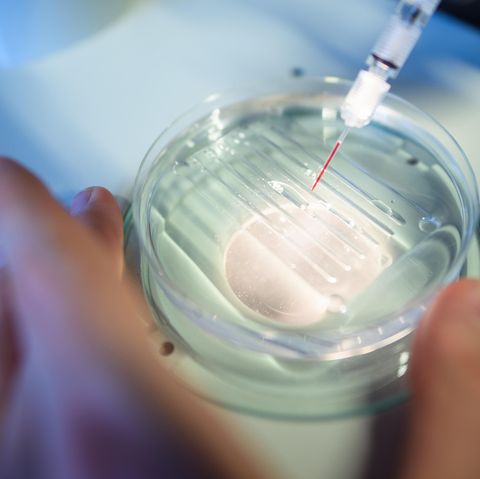 Ein chinesischer Forscher hat angeblich das Erbgut eines Zwillingspaars manipuliert - ohne medizinisch sinnvollen Grund