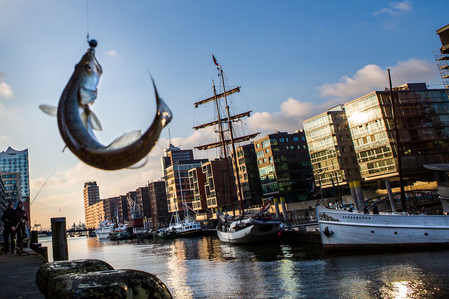 Die Hafencity in Hamburg