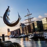 Die Hafencity in Hamburg