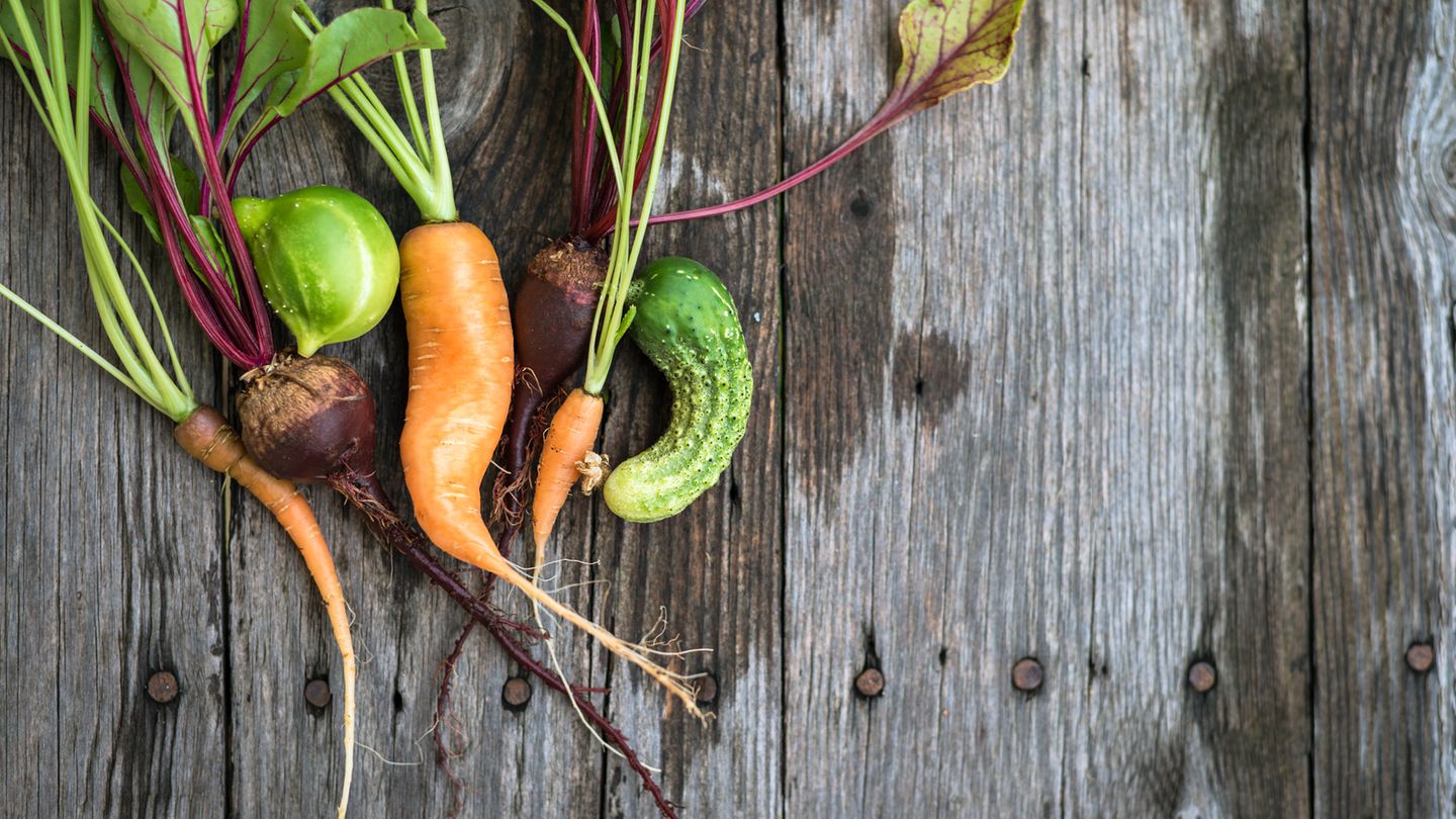 4. Halten Sie Ausschau nach krummen Gemüse  Die Vorschrift besagt, dass Gemüse und Obst eine bestimmte Form haben müssen. Eine Schlangengurke beispielsweise darf nicht allzu krumm sein, sonst wird sie aussortiert. Halten Sie genau nach dieser Ware Ausschau, denn die sogenannten "Misfits" sind oft günstiger als das normale Obst und Gemüse in der Auslage.