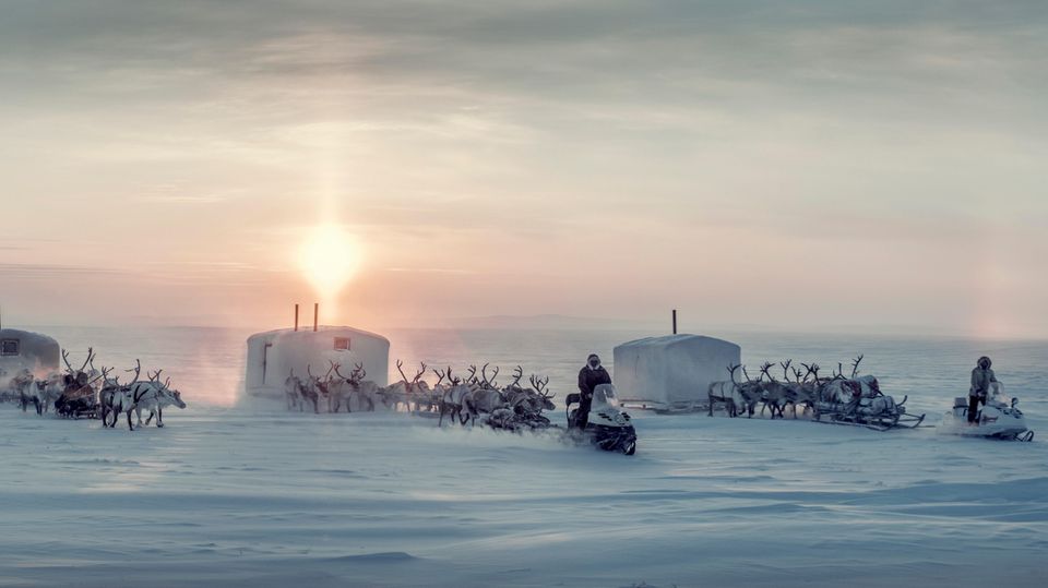 Kalte Heimat: Zwischen Birkenwäldern und Bären: Leben in der Abgeschiedenheit der sibirischen Taiga Kalte Heimat: Zwischen Birkenwäldern und Bären: Leben in der Abgeschiedenheit der sibirischen Taiga