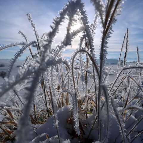 wetter in deutschland mittwoch 29.11.2018