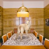 Kalender fürs Jahr 2019: Im Bett, unter der Dusche, überall Alpakas: Diese Bilder sorgen für gute Laune