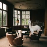 Kalender fürs Jahr 2019: Im Bett, unter der Dusche, überall Alpakas: Diese Bilder sorgen für gute Laune