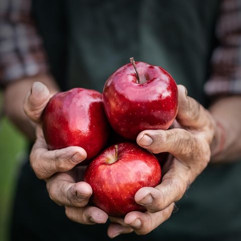 Äpfel