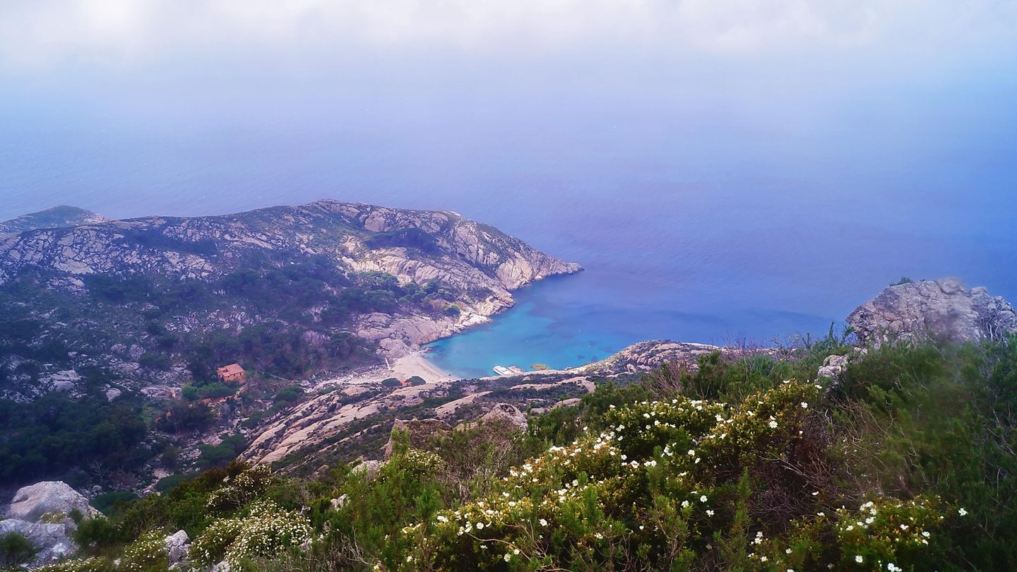 Mittelmeerinsel Montecristo
